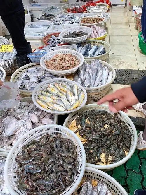 上海菜市场里的舟山海鲜怎么就没活的