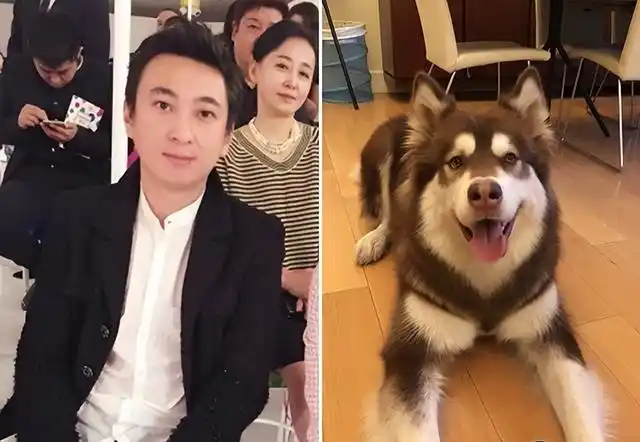 纪检委员王思聪让权志龙滚回韩国退股万达后还有资本吗