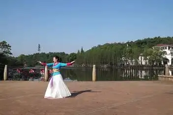 星云广场舞 雨花石(dl版健身操)_百度视频搜索