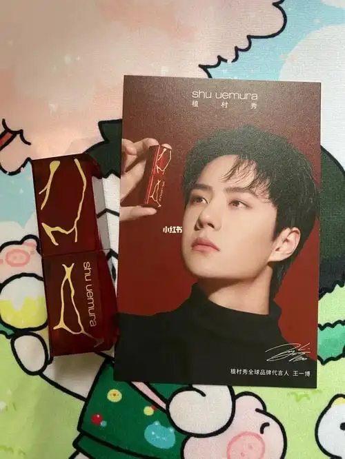 植村秀全球代言人王一博