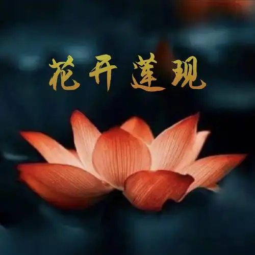 花开莲现》独家观点|红楼梦结局揭秘 星云大师:1000则智慧佛语 解忧