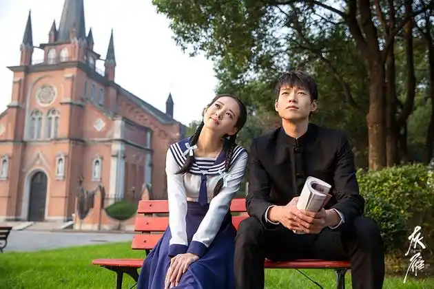 《灰雁》冯越魏大勋领衔主演