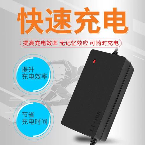 新日锂电池充电器三石电子48v电动车4a天能智能静音dzl4812ss04