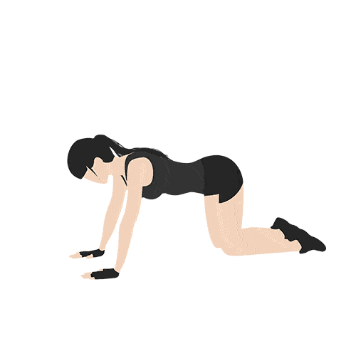 500_500gif 动态图 动图