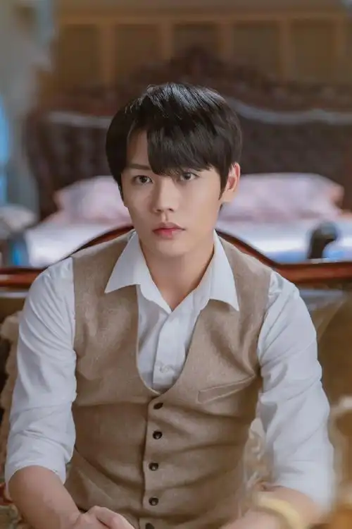 林彦俊一见倾心民国剧照