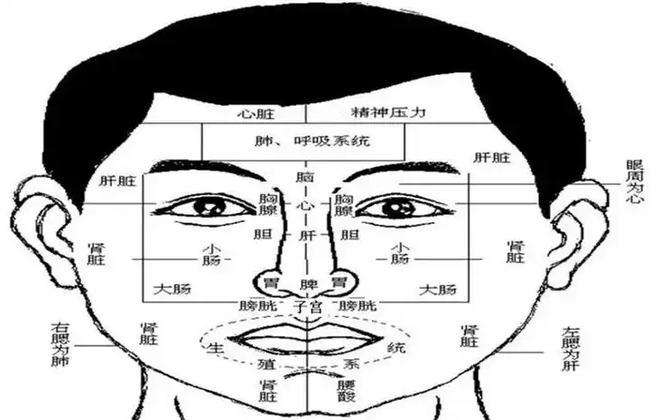 lemmaid="5015238">四诊法 /a>来对面部整体以及面部五官进行观察