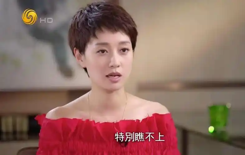 一场迟到五年的离婚马伊琍文章如何从互补到脱轨