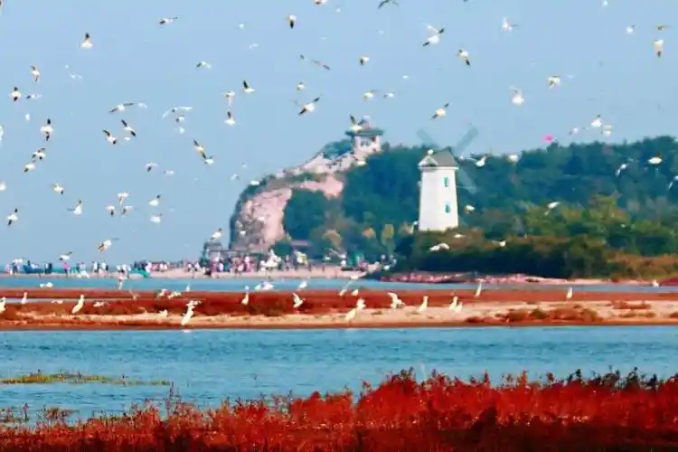 北戴河丨旅游攻略丨景点介绍_公园_景区_河北省秦皇岛