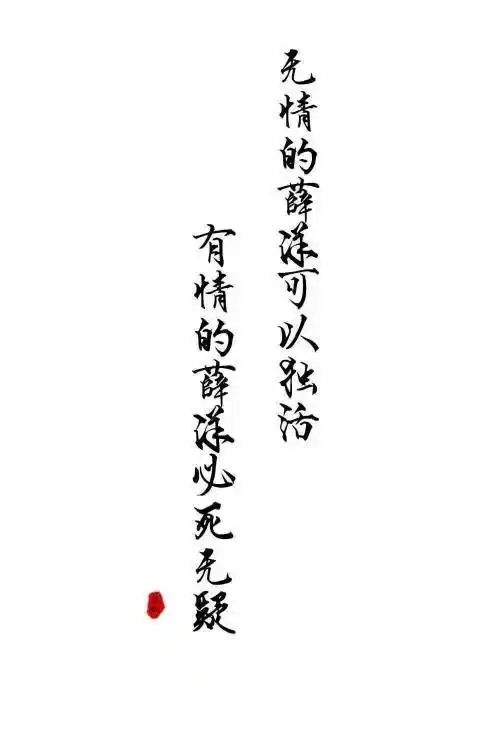 魔道祖师薛洋经典语录