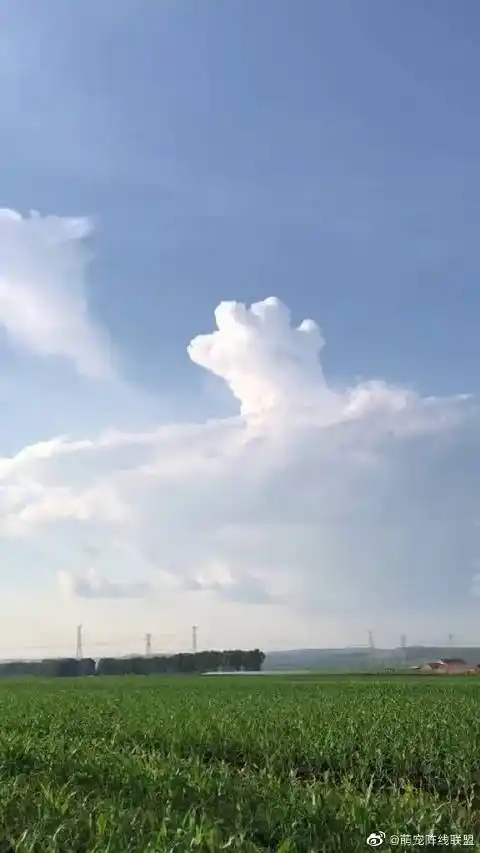 天空飘来一只云猫爪!