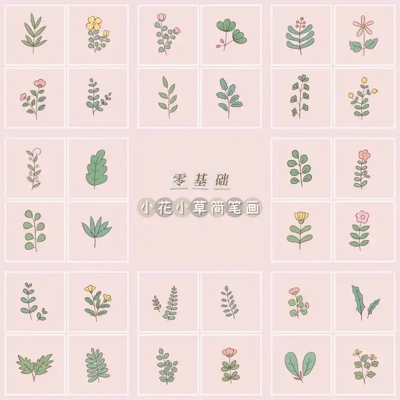 🌿32种零基础花花草草简笔画教程 🌿今日涂涂画画了32种简单的小