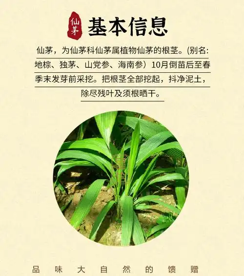 北京同仁堂野生仙茅独脚大叶仙茅参仙棕茅爪子独茅根泡茶泡酒中药材