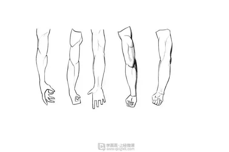 《写生手臂—人体体块手臂肌肉的练习》by 肥猫