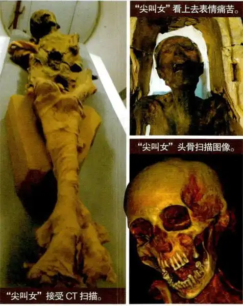 解读三具木乃伊