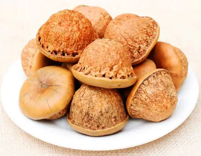 农村一种羞于启齿的坚果,胜过松子和核桃,人称"壮阳果"