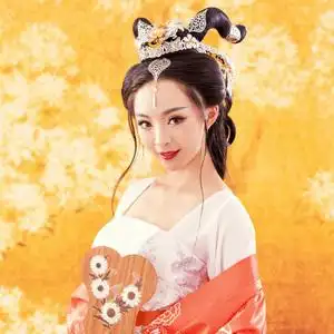 影楼古装主题服装唐朝贵妃图片