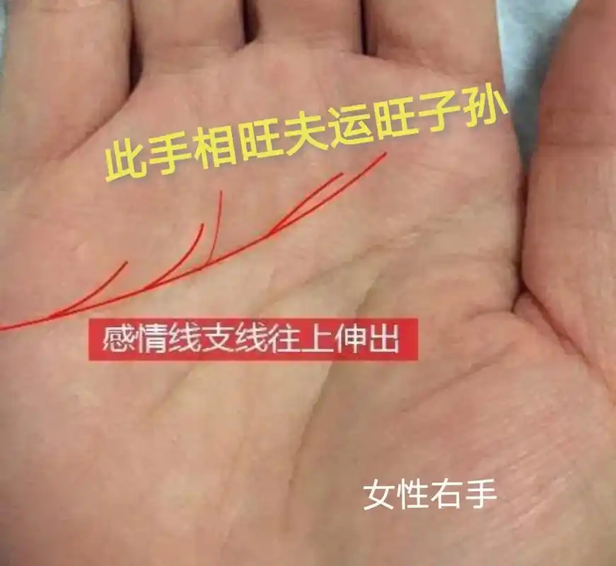 好命相的女性手纹图解 - 抖音