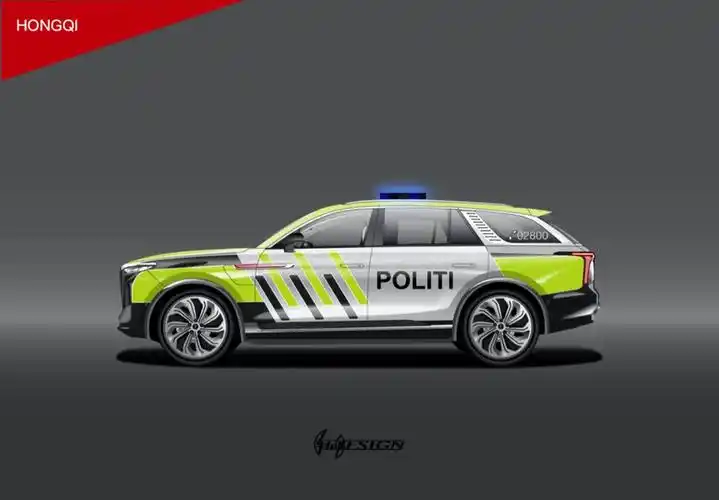 04挪威警用涂装