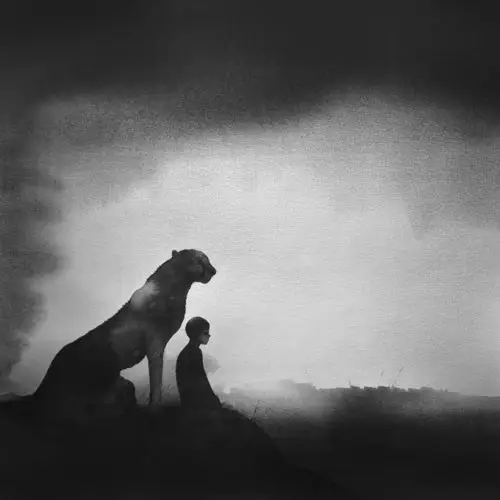 喜欢用简单的黑白灰描绘安静的世界,她的画面中常常出现一个孤独的