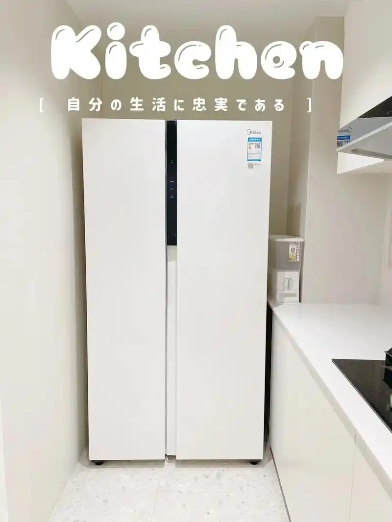 预算4000元买到的神仙双开门冰箱.家里冰箱安全落地,忍不住 - 抖音