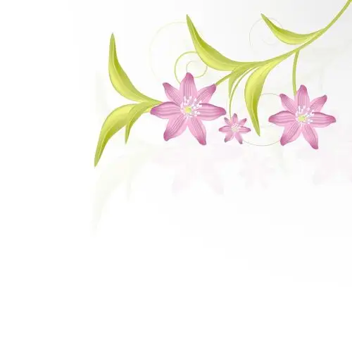 美丽的花卉背景素材免费下载(图片编号:3995554)-六图网