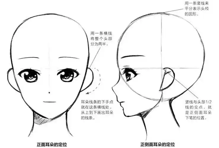 绘画中的"三庭五眼",你get了吗? - 元艺考