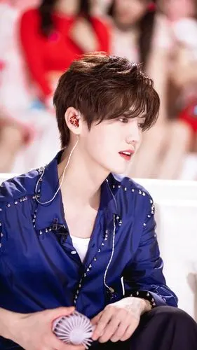 鹿晗- 堆糖,美图壁纸兴趣社区