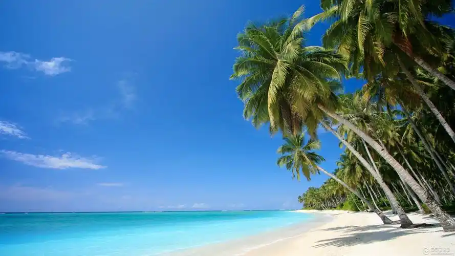 高清大图护眼壁纸