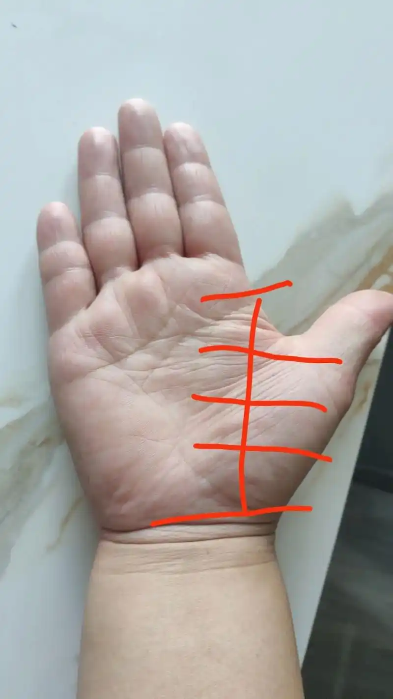 随喜解析手纹.我昨天给这个缘主看手相,告诉她身体有问题,乳腺 - 抖音