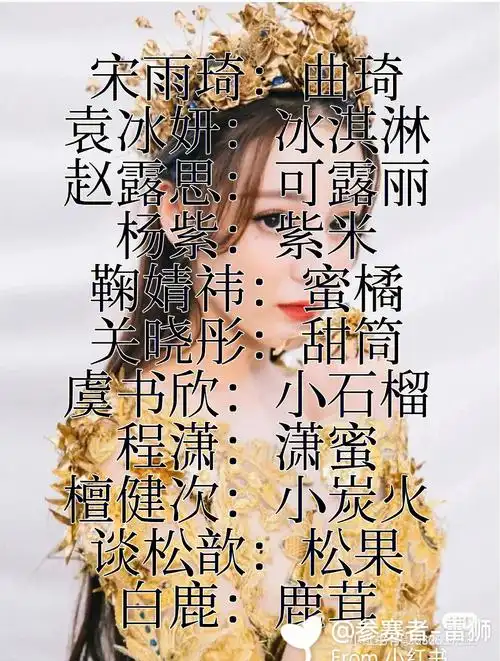 明星粉丝名第二期