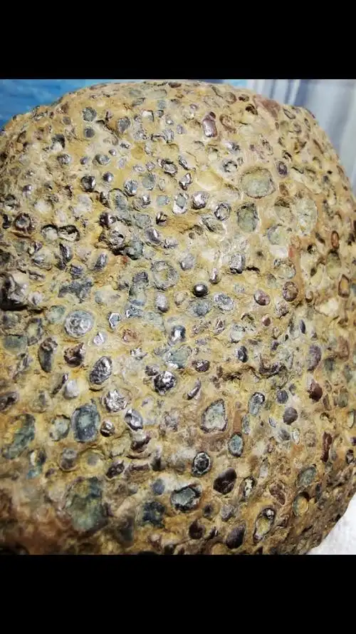 五彩球粒陨石精品