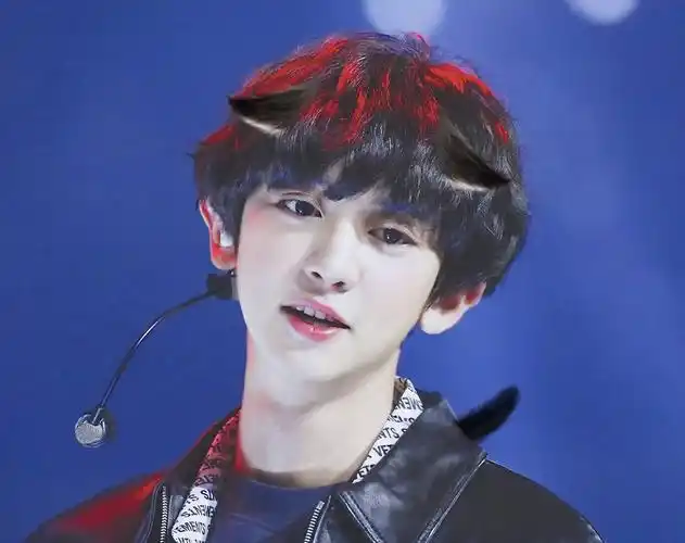 exo朴灿烈chanyeol 可爱小猫头像