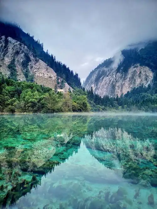 世界自然遗产:九寨沟,是人间仙境,是童话世界