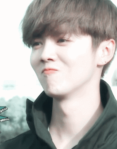 鹿晗欧巴帅哥小鲜肉gif动图_动态图_表情包下载_soogif