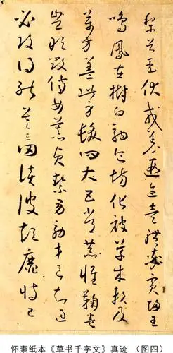 怀素真迹草书千字文面世震惊中外