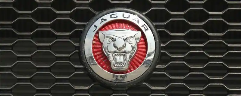 猎豹标志是什么车