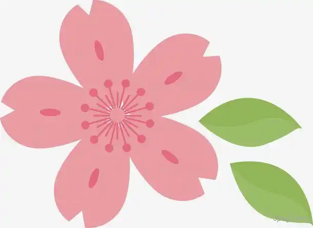 卡通粉色桃花png素材透明免抠图片-动植人物-三元素3png.com