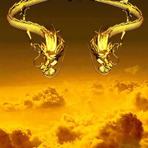 500_500gif 动态图 动图