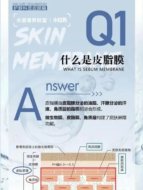 收损皮肤皮脂膜收损和修复73