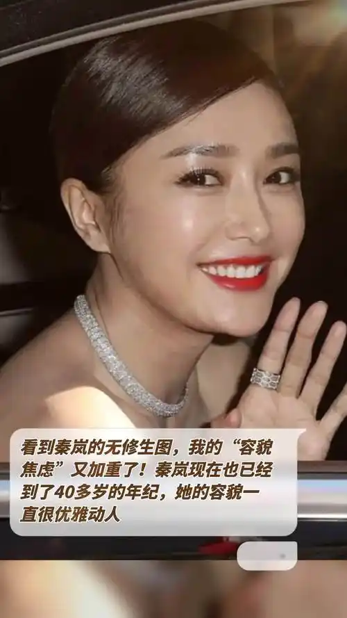 秦岚现在也已经到了40多岁的年纪,她的容貌一直很优雅动人,就连无修生