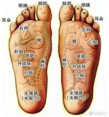 原创 中医养生    我国有一句古话"中药洗脚胜吃补药.