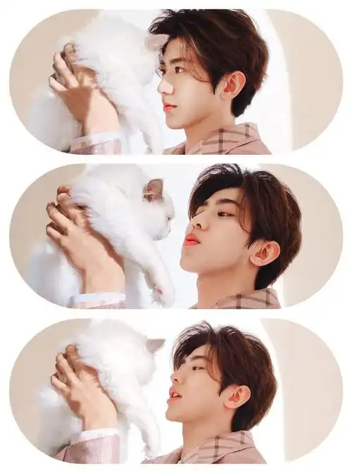 蔡徐坤的老婆图片,壁纸/蔡徐坤的老婆在哪里(你们要的今日份心动男孩)