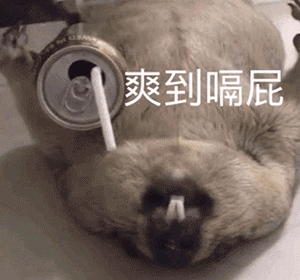 表情我红衣服都穿了给个红包呀沙雕表情包