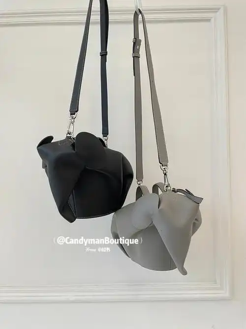 loewe大象包