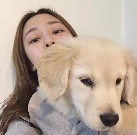 情侣头像一个女孩抱着一只狗 情侣头像图片大全 -【爱个性】