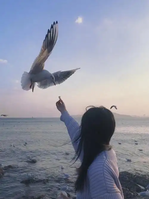 冬天一定不要错过的一件事那就是去海边喂海鸥了,我去的是青岛站桥,坐