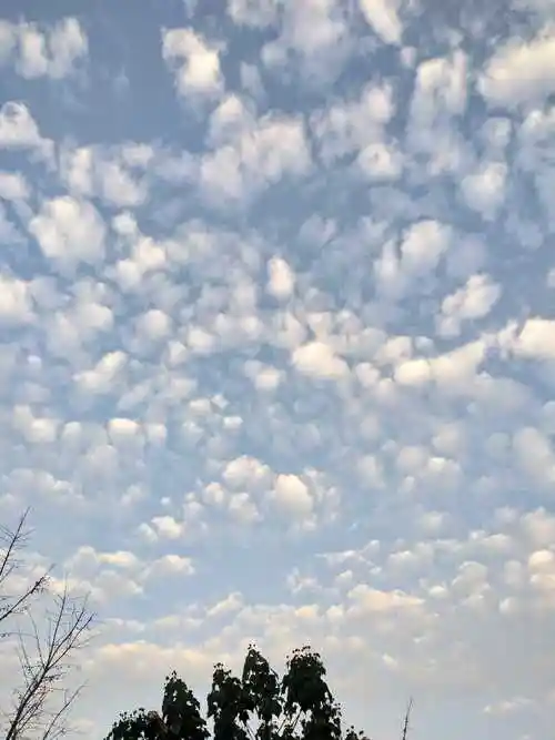 随笔冬日清晨云彩