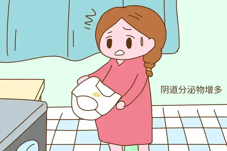 但是如果到孕晚期发现阴道分泌物明显增多,性状也发生变化,由原来的