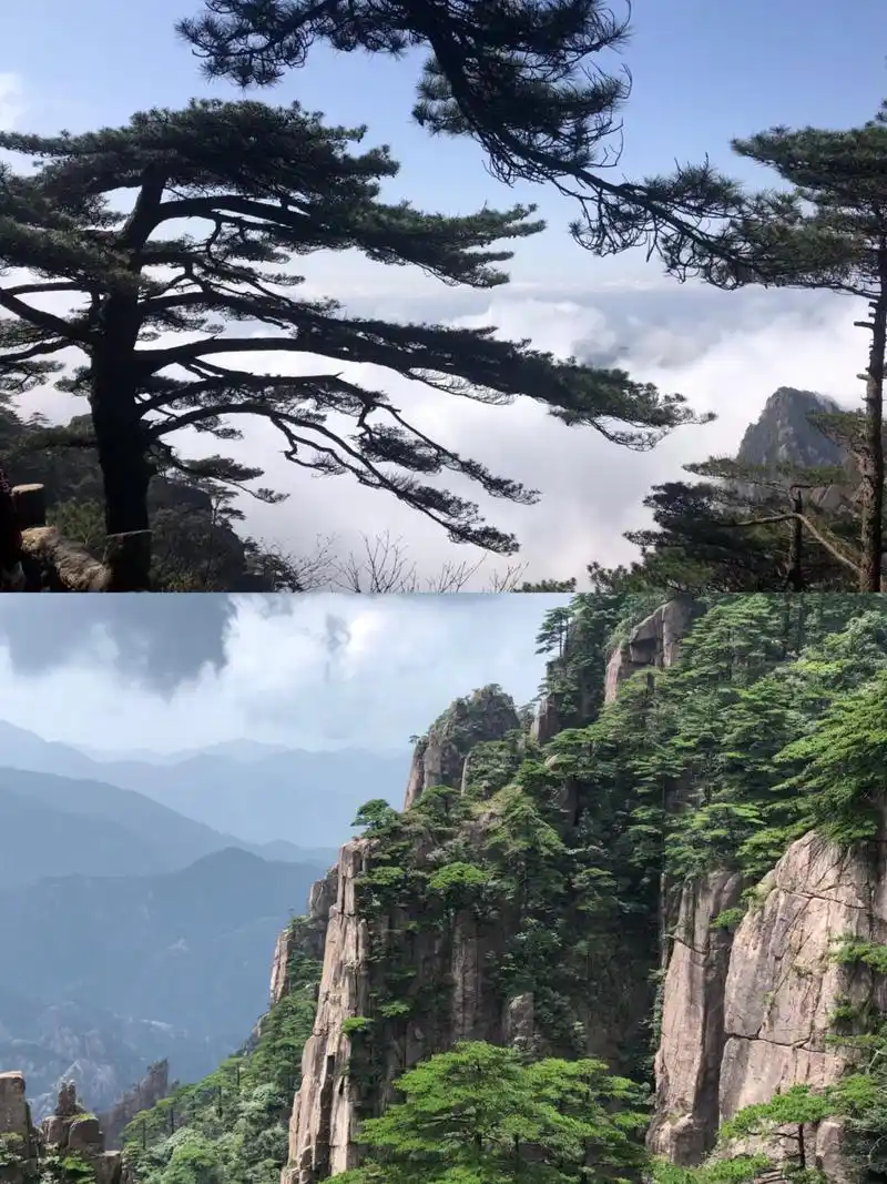 中国最美的五大名山,黄山风景区是中国十大风景名胜区之一,大家此生