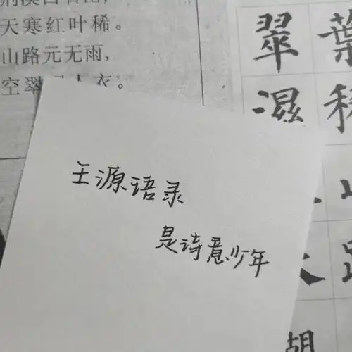 适合写进作文的句子99王源的文字永远治愈